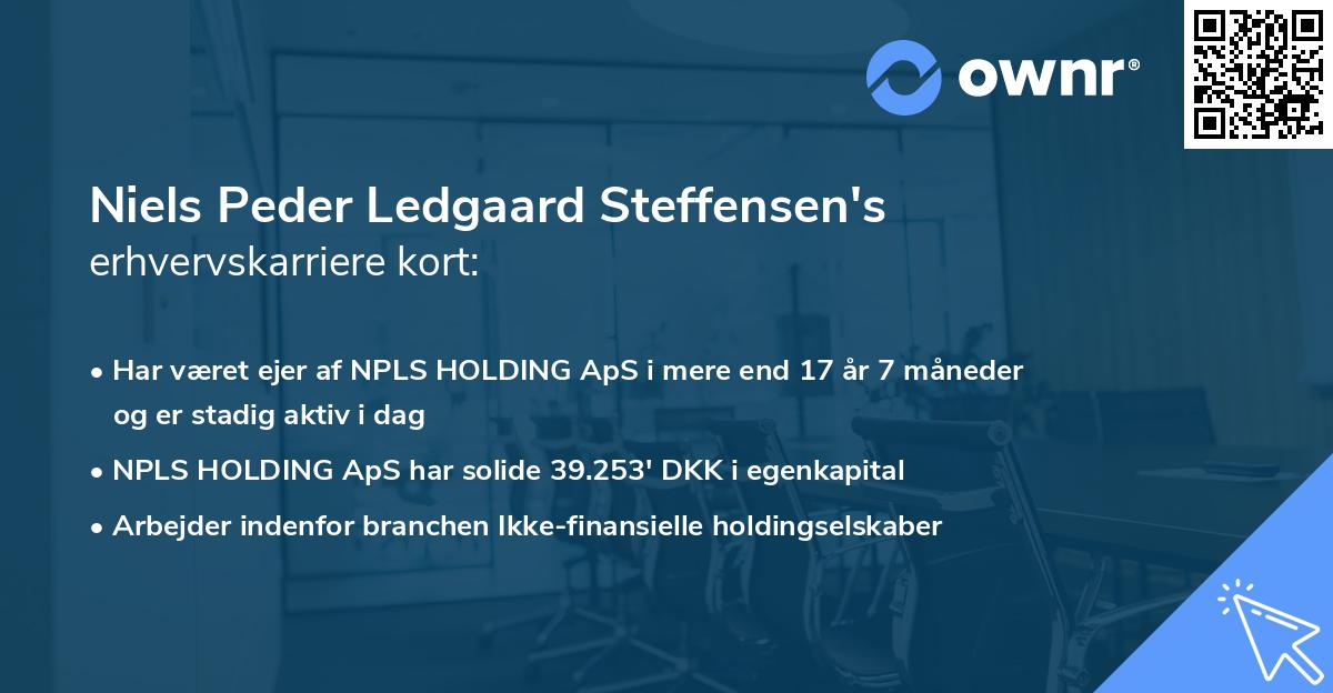 Niels Peder Ledgaard Steffensen's erhvervskarriere kort