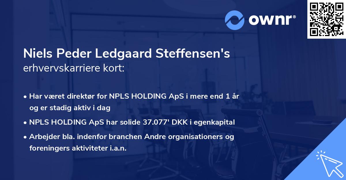 Niels Peder Ledgaard Steffensen's erhvervskarriere kort
