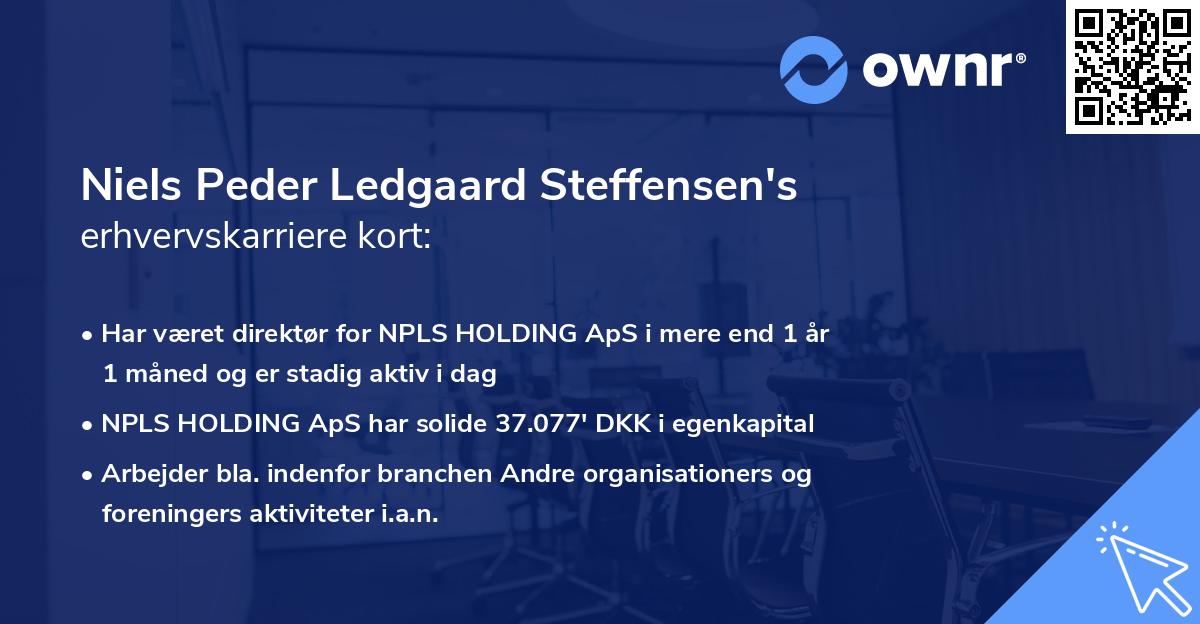 Niels Peder Ledgaard Steffensen's erhvervskarriere kort