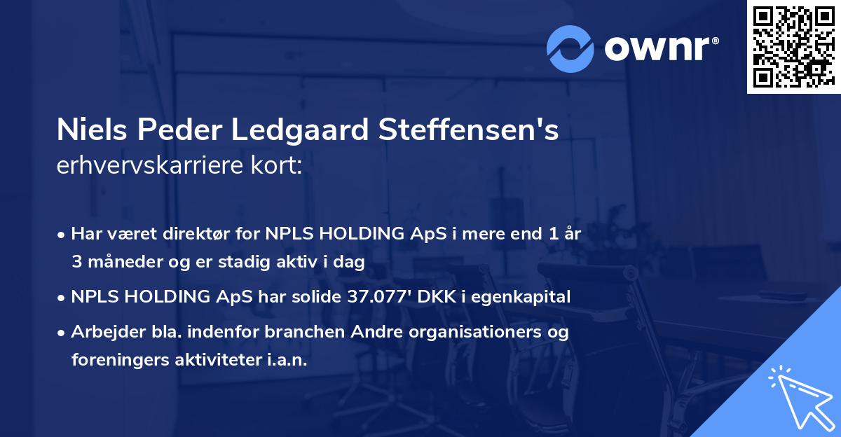 Niels Peder Ledgaard Steffensen's erhvervskarriere kort
