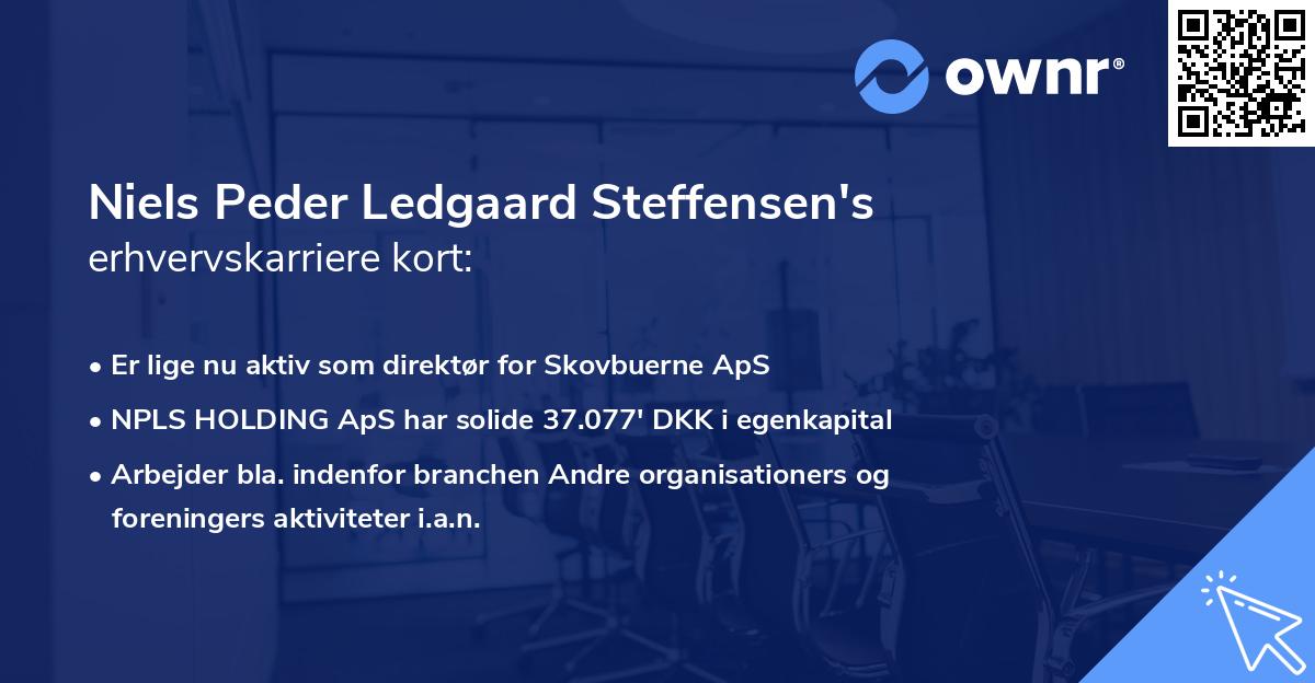 Niels Peder Ledgaard Steffensen's erhvervskarriere kort