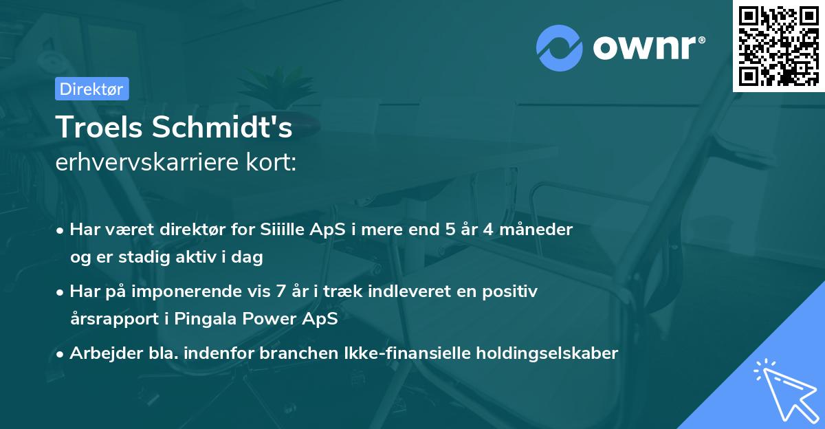 Troels Schmidt's erhvervskarriere kort