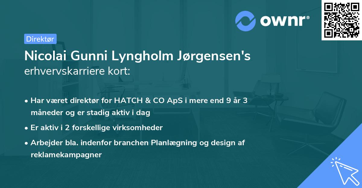 Nicolai Gunni Lyngholm Jørgensen's erhvervskarriere kort