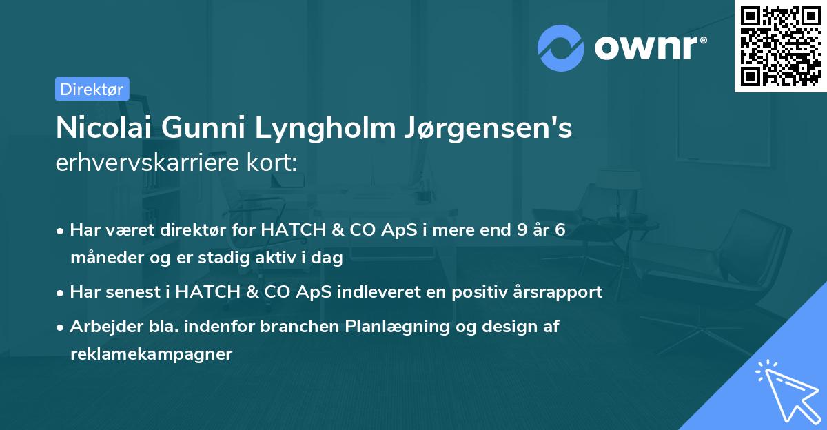 Nicolai Gunni Lyngholm Jørgensen's erhvervskarriere kort