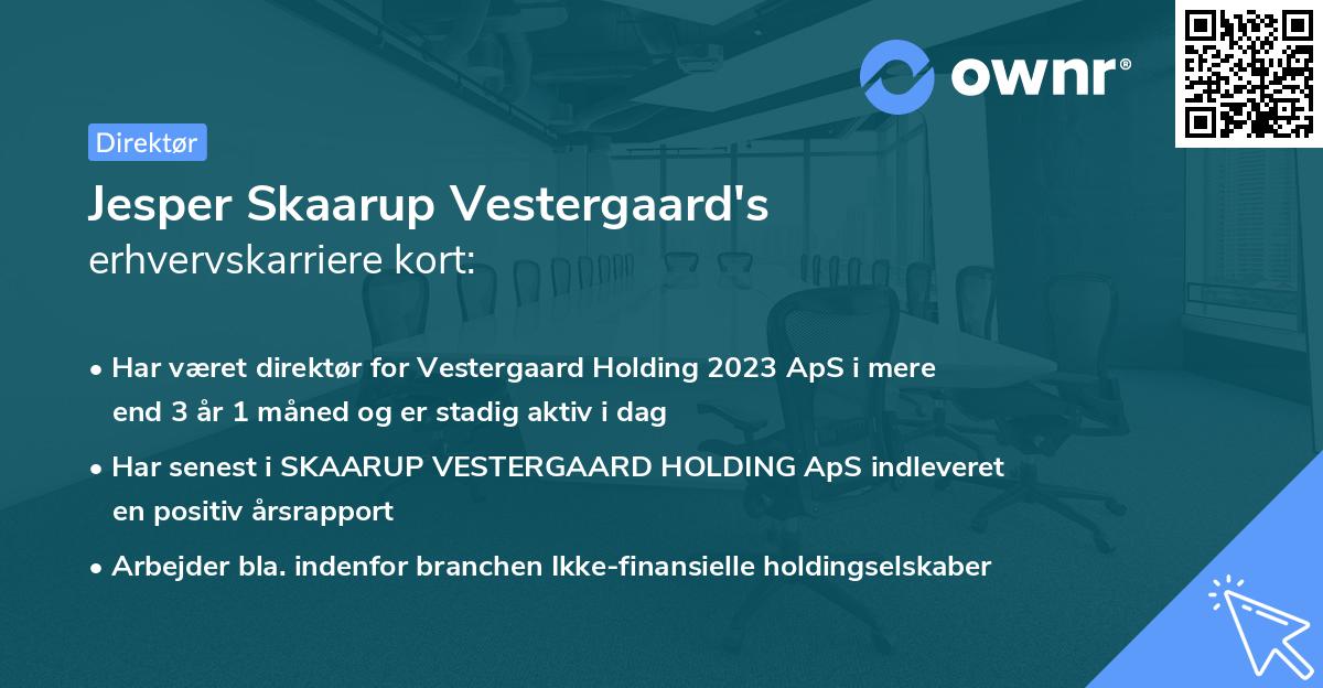 Jesper Skaarup Vestergaard's erhvervskarriere kort