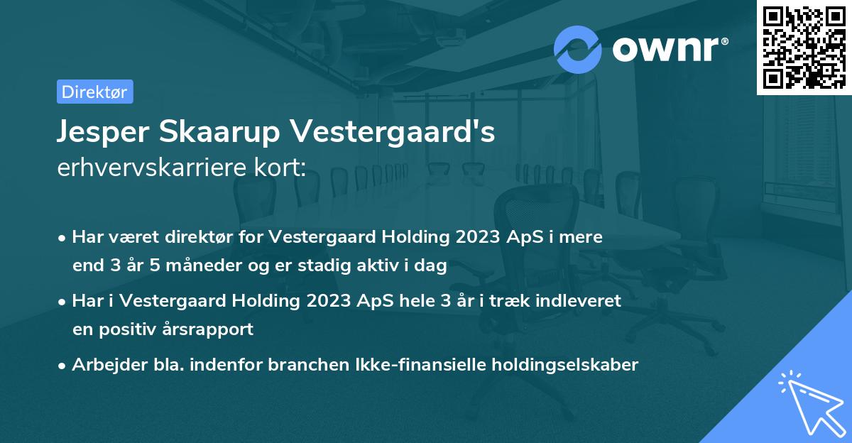 Jesper Skaarup Vestergaard's erhvervskarriere kort