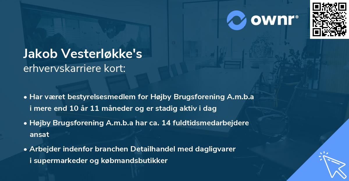 Jakob Vesterløkke's erhvervskarriere kort