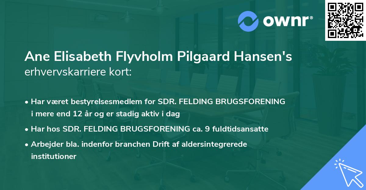 Ane Elisabeth Flyvholm Pilgaard Hansen's erhvervskarriere kort