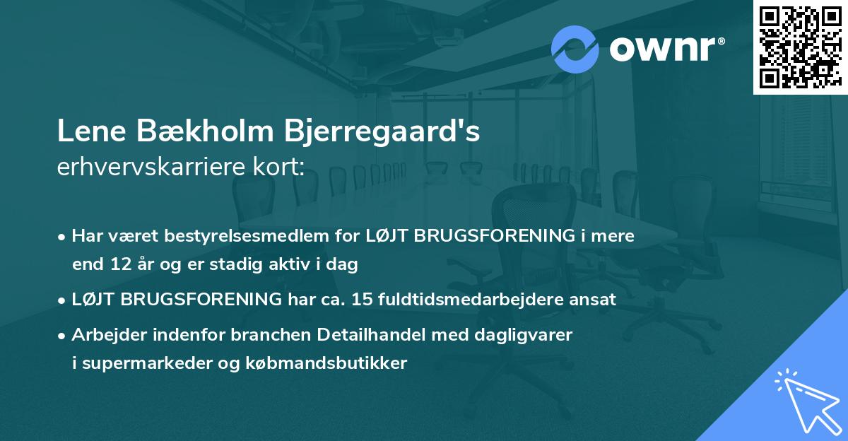 Lene Bækholm Bjerregaard's erhvervskarriere kort