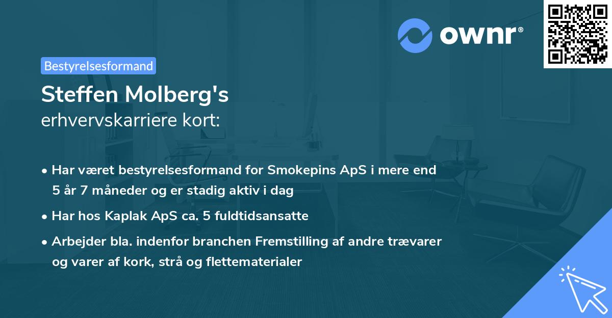 Steffen Molberg's erhvervskarriere kort