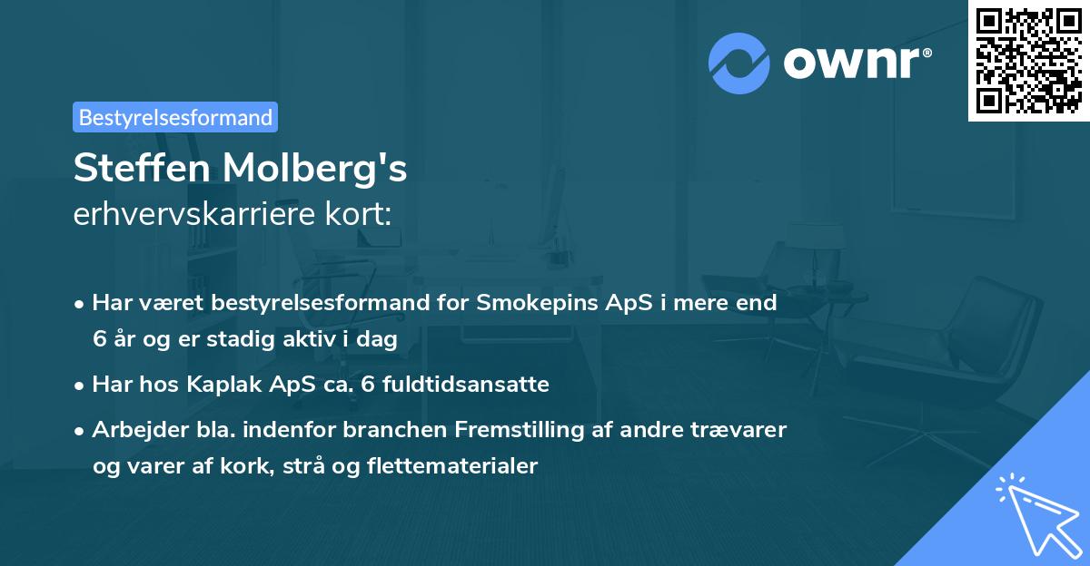 Steffen Molberg's erhvervskarriere kort