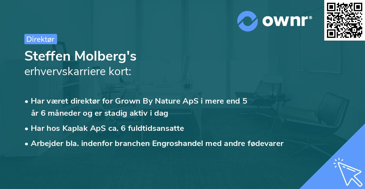 Steffen Molberg's erhvervskarriere kort