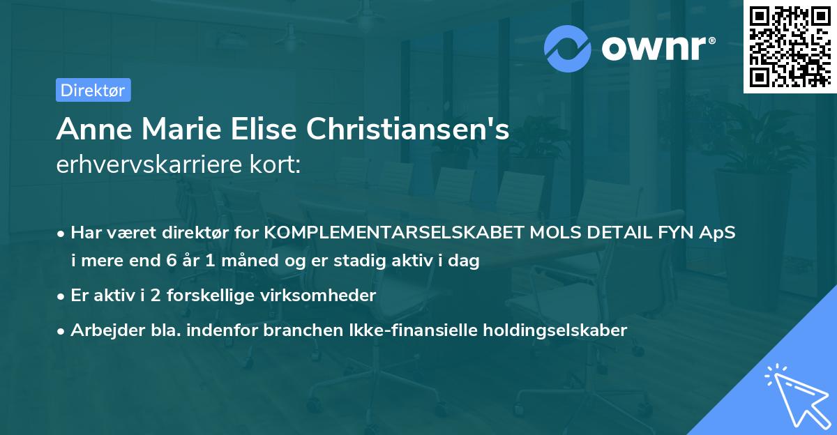 Anne Marie Elise Christiansen's erhvervskarriere kort