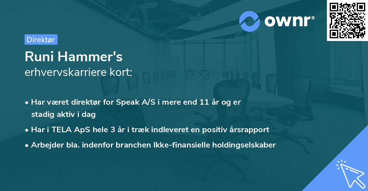 Runi Hammer's erhvervskarriere kort