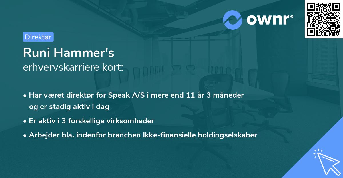 Runi Hammer's erhvervskarriere kort