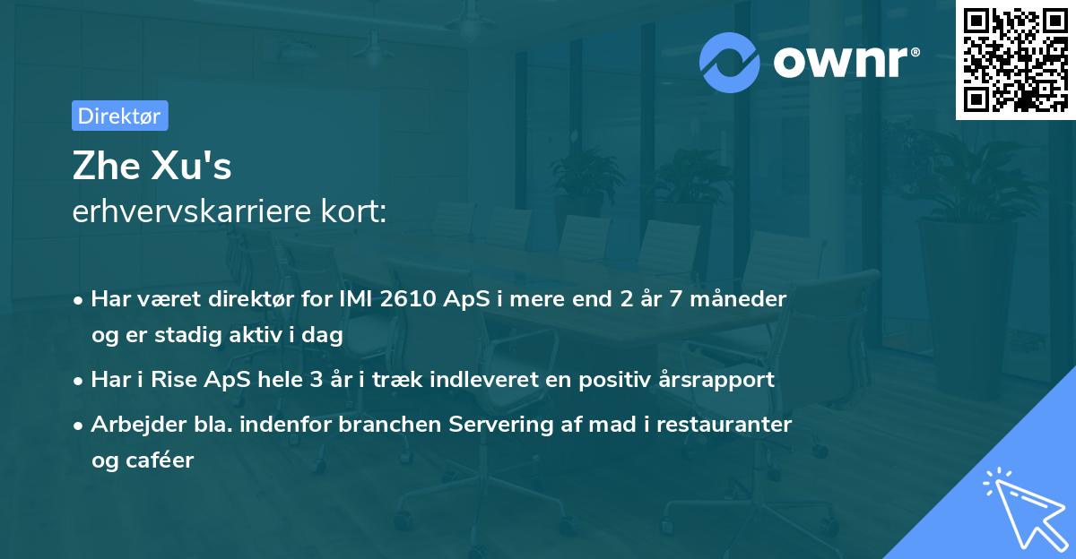 Zhe Xu's erhvervskarriere kort