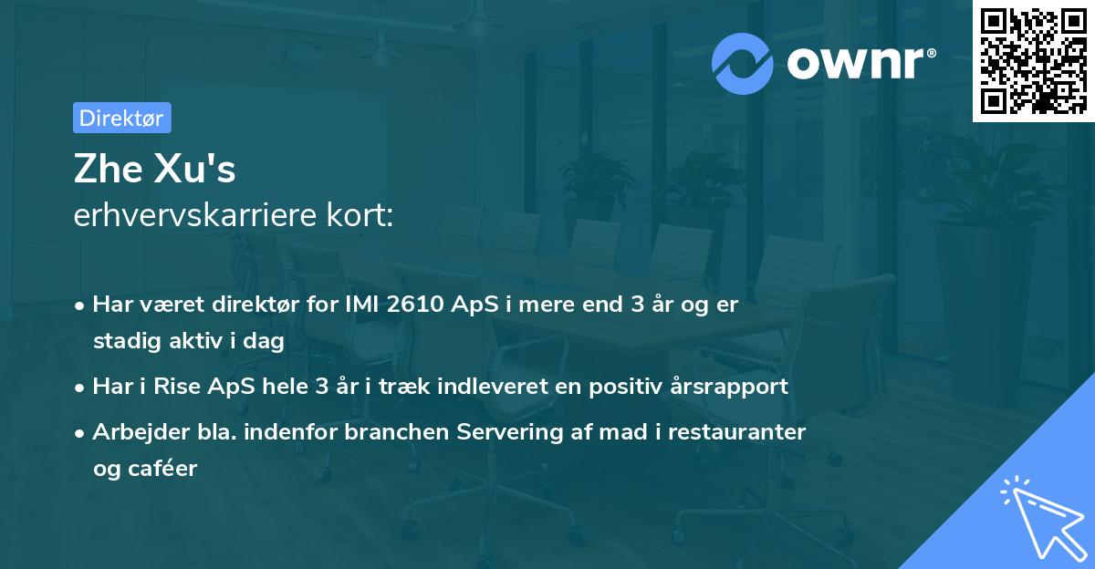 Zhe Xu's erhvervskarriere kort