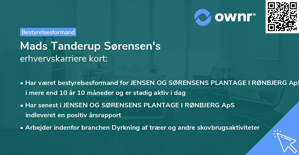 Mads Tanderup Sørensen's erhvervskarriere kort