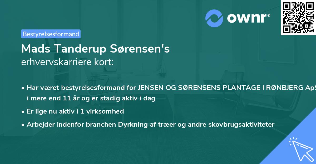 Mads Tanderup Sørensen's erhvervskarriere kort