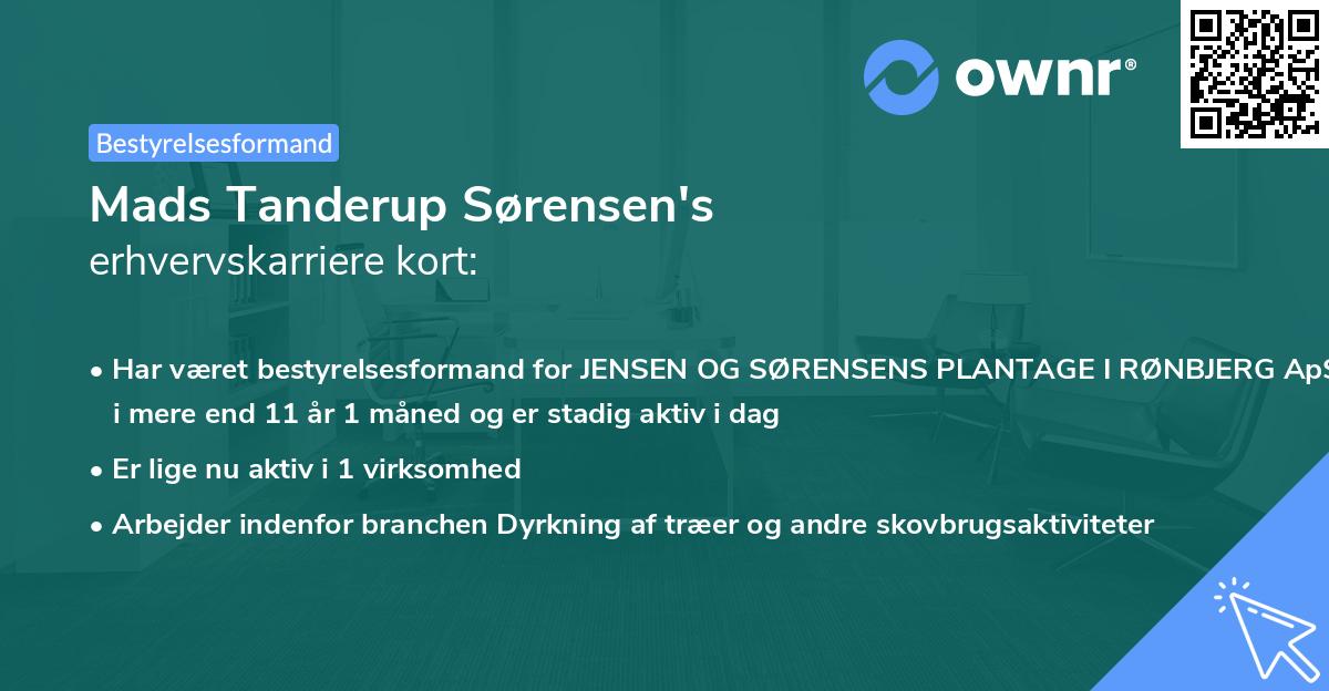 Mads Tanderup Sørensen's erhvervskarriere kort