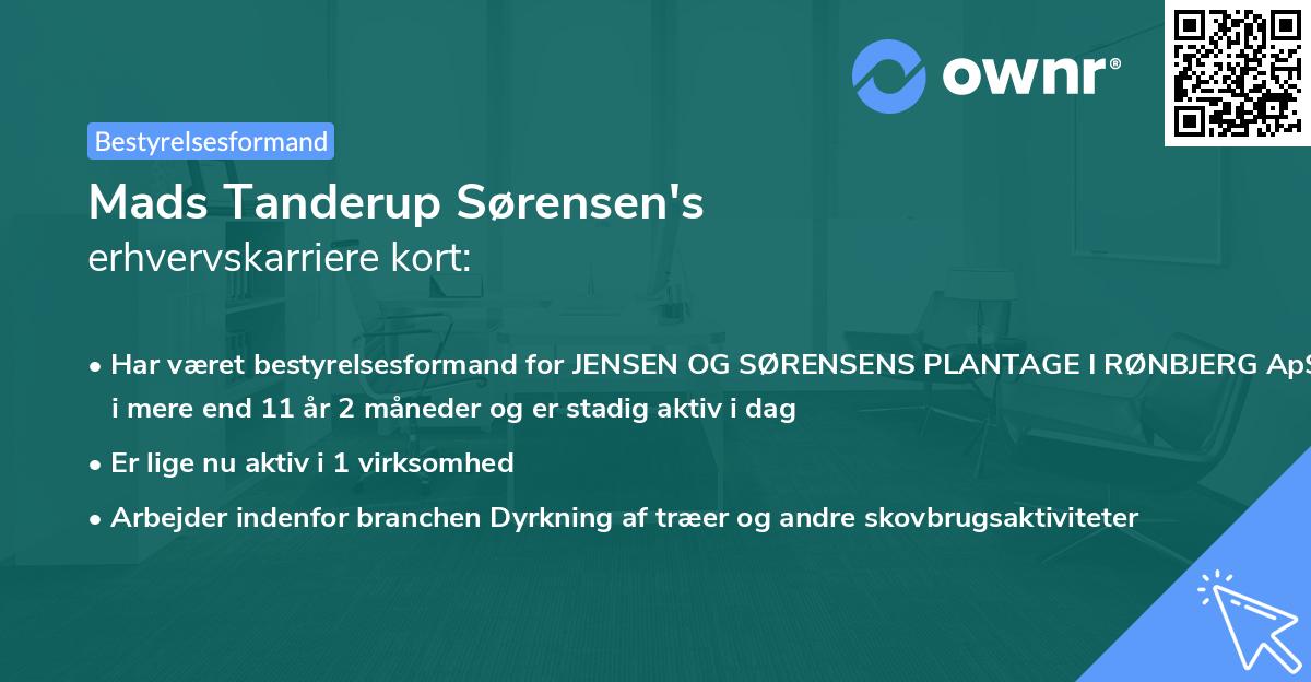 Mads Tanderup Sørensen's erhvervskarriere kort