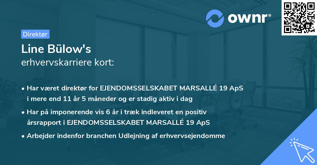 Line Bülow's erhvervskarriere kort