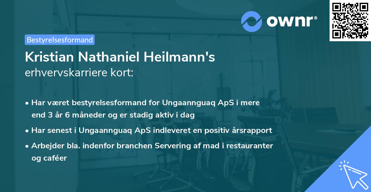 Kristian Nathaniel Heilmann's erhvervskarriere kort