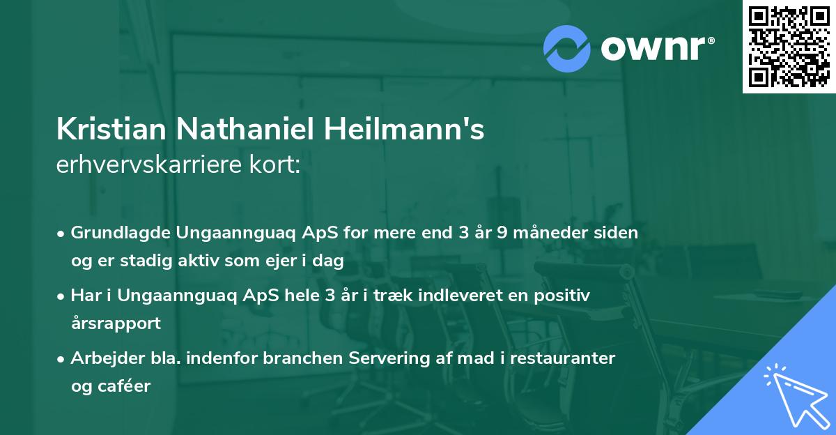 Kristian Nathaniel Heilmann's erhvervskarriere kort