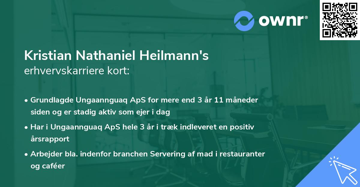 Kristian Nathaniel Heilmann's erhvervskarriere kort