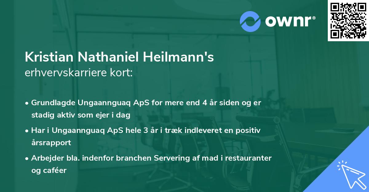 Kristian Nathaniel Heilmann's erhvervskarriere kort