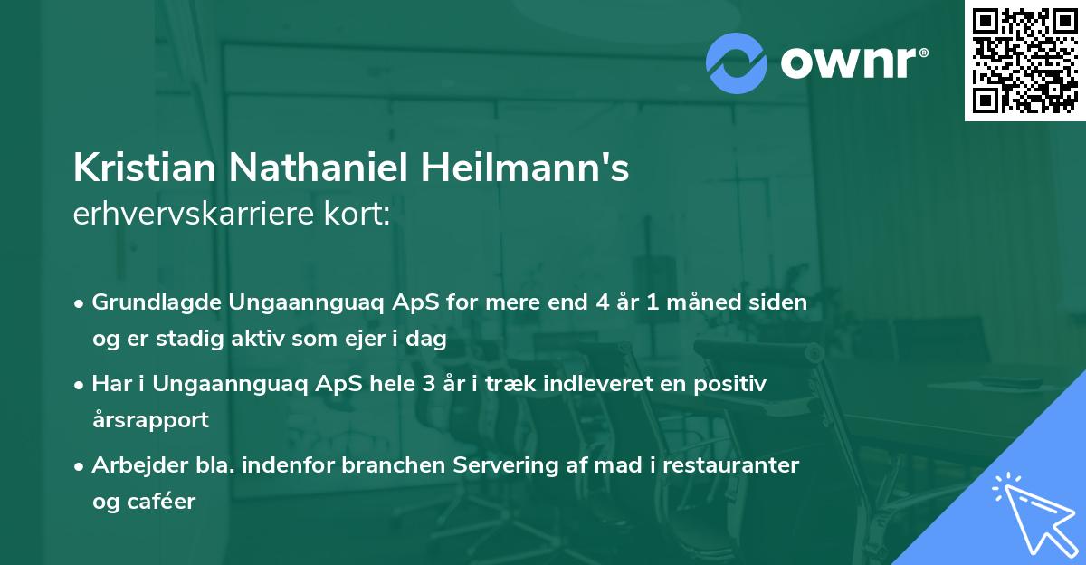 Kristian Nathaniel Heilmann's erhvervskarriere kort