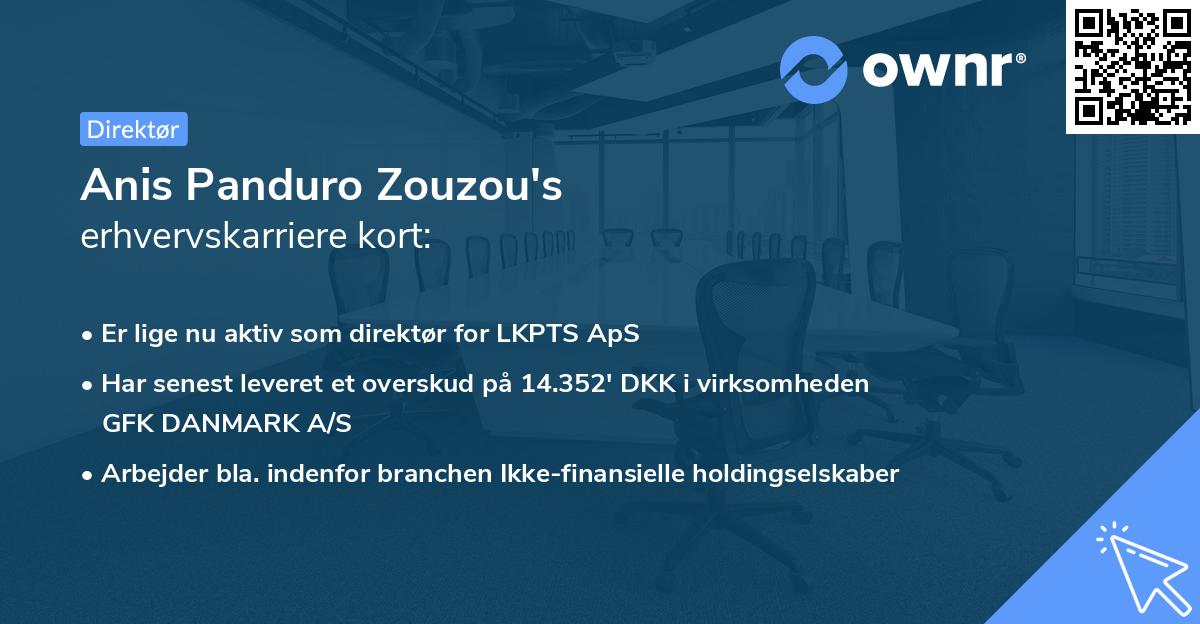 Anis Panduro Zouzou's erhvervskarriere kort