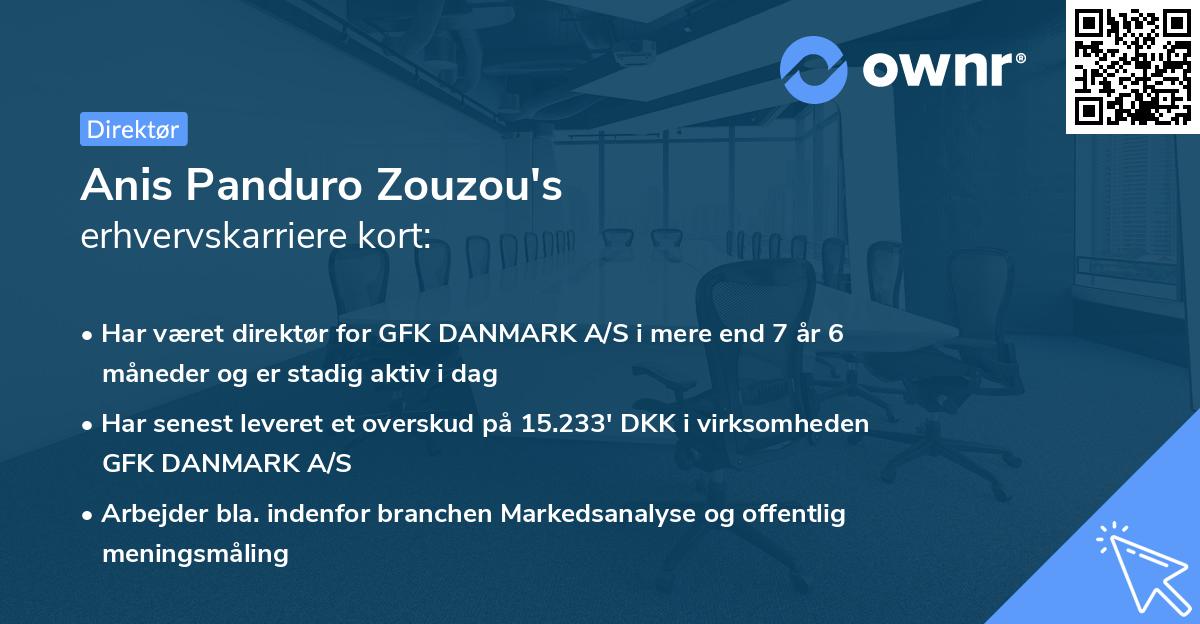 Anis Panduro Zouzou's erhvervskarriere kort