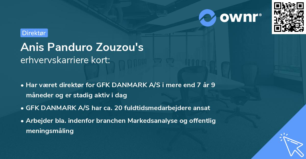 Anis Panduro Zouzou's erhvervskarriere kort