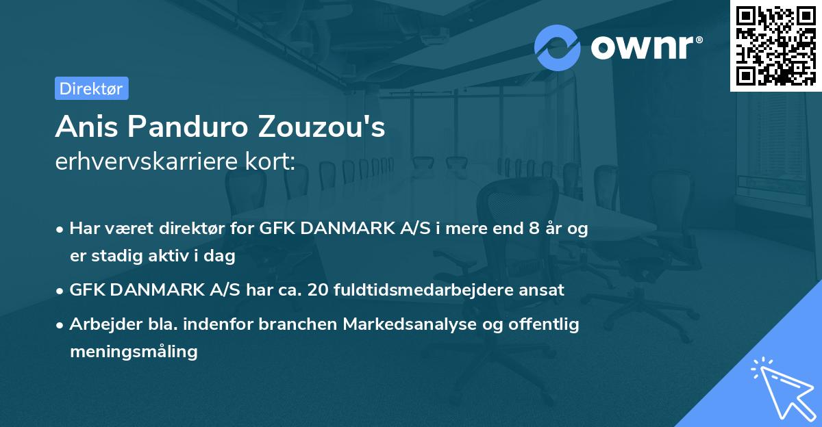 Anis Panduro Zouzou's erhvervskarriere kort