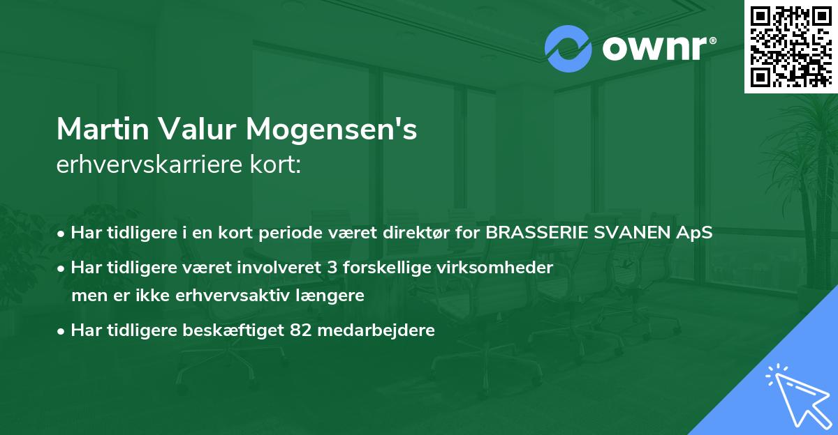 Martin Valur Mogensen's erhvervskarriere kort