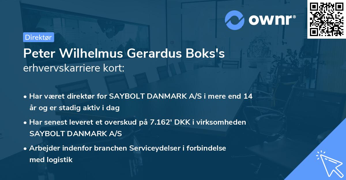 Peter Wilhelmus Gerardus Boks's erhvervskarriere kort