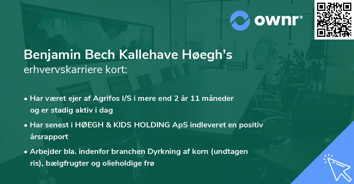 Benjamin Bech Kallehave Høegh's erhvervskarriere kort