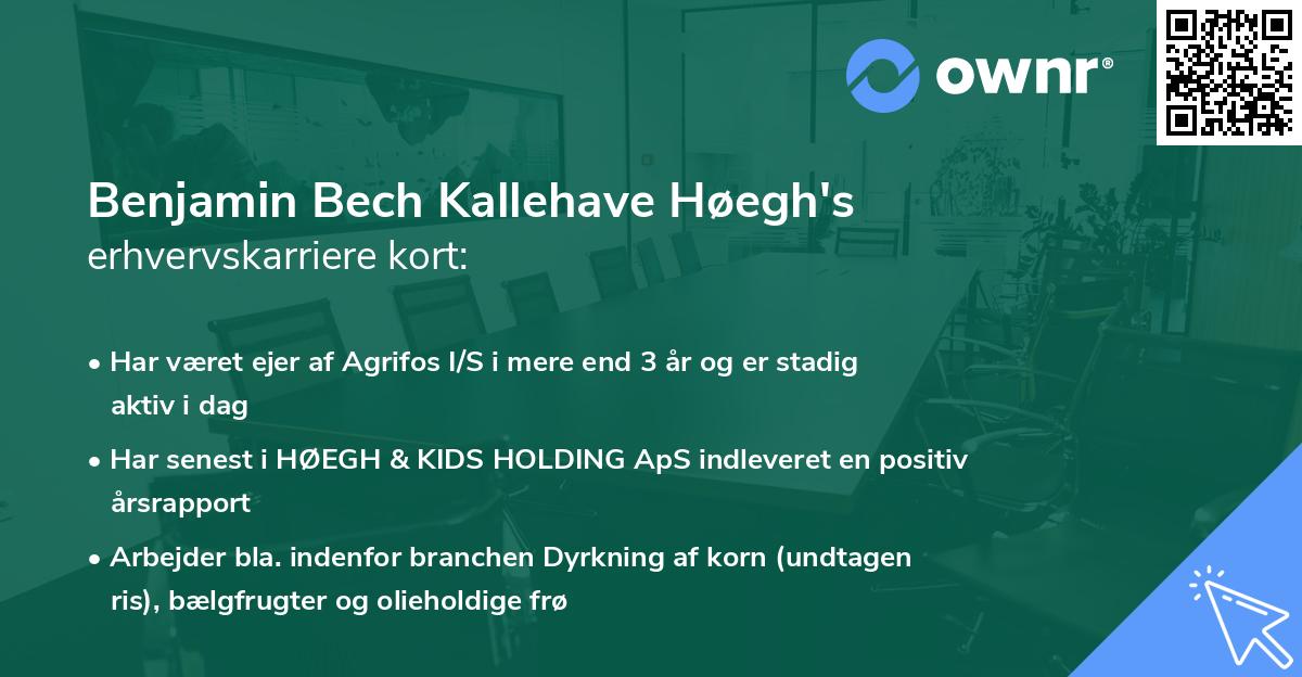 Benjamin Bech Kallehave Høegh's erhvervskarriere kort