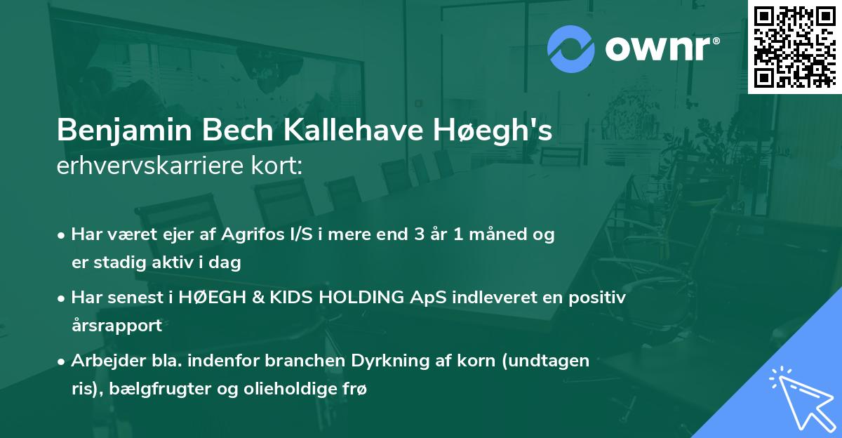 Benjamin Bech Kallehave Høegh's erhvervskarriere kort