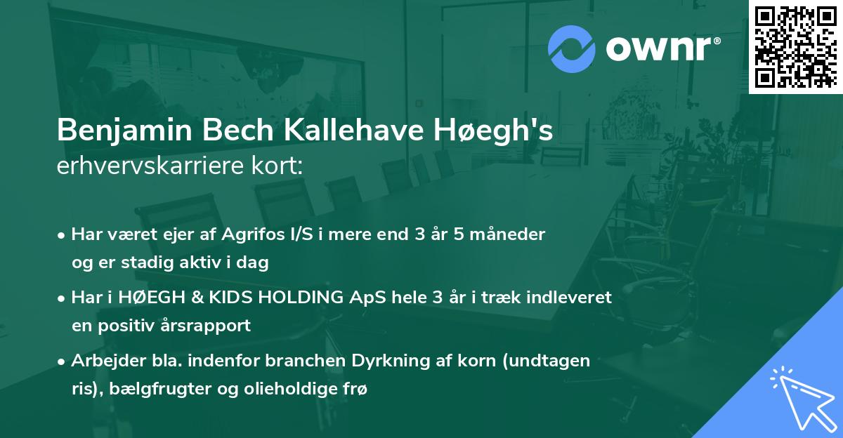 Benjamin Bech Kallehave Høegh's erhvervskarriere kort