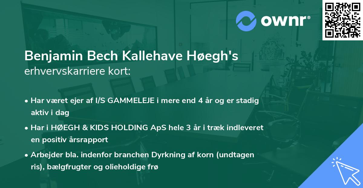 Benjamin Bech Kallehave Høegh's erhvervskarriere kort