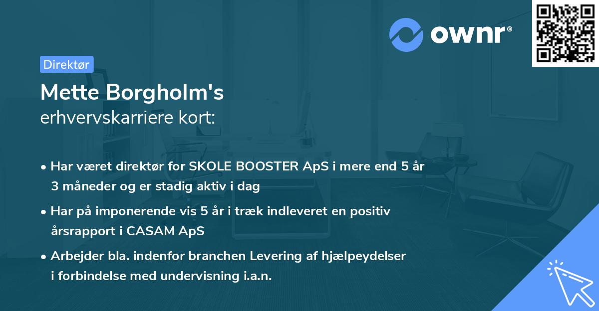 Mette Borgholm's erhvervskarriere kort