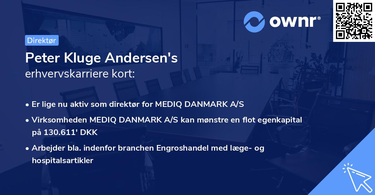 Peter Kluge Andersen's erhvervskarriere kort