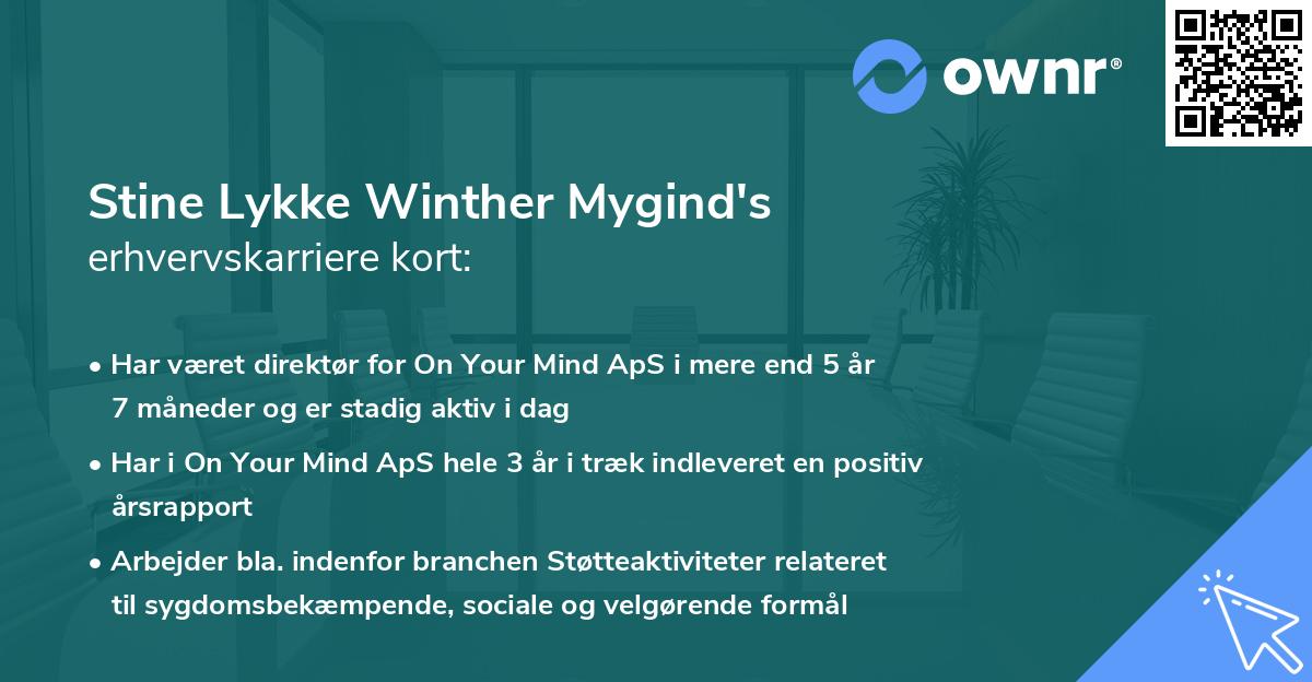 Stine Lykke Winther Mygind's erhvervskarriere kort