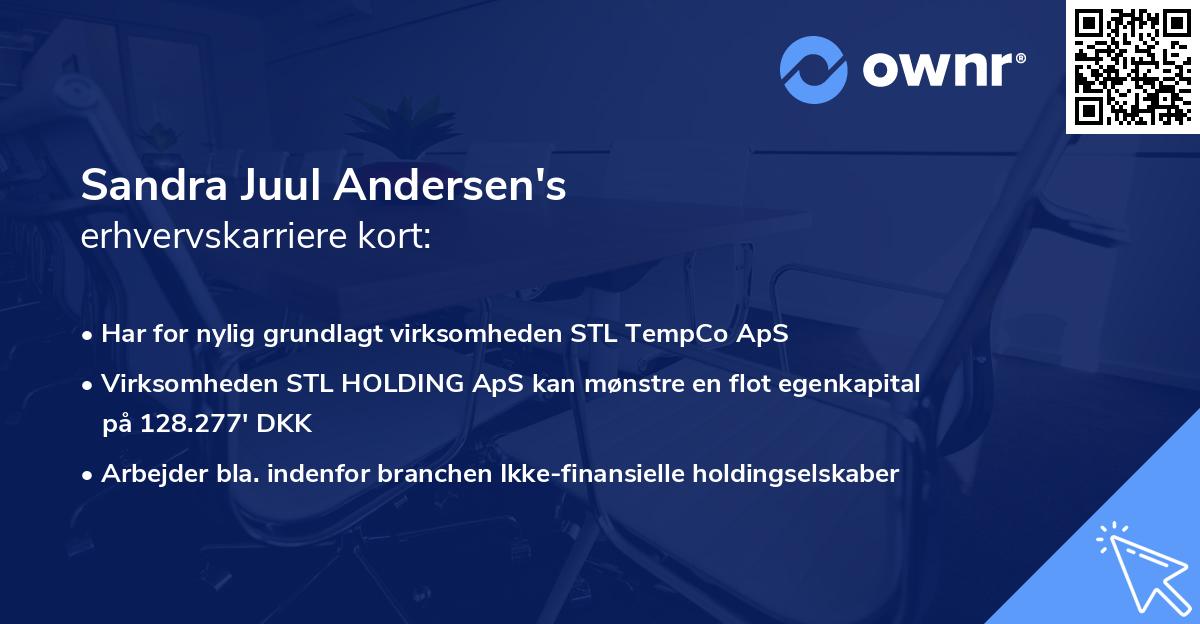 Sandra Juul Andersen's erhvervskarriere kort