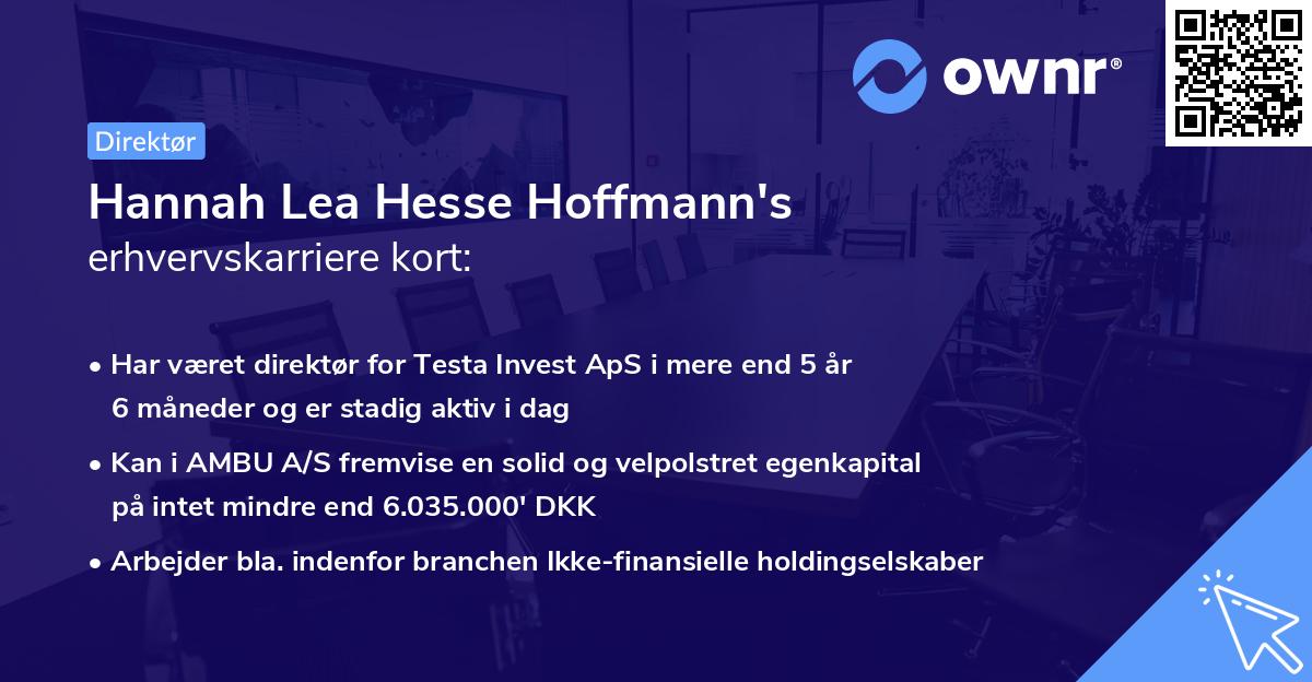 Hannah Lea Hesse Hoffmann's erhvervskarriere kort