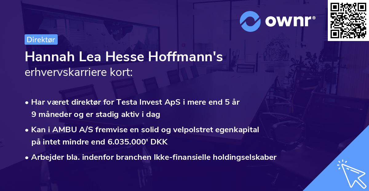 Hannah Lea Hesse Hoffmann's erhvervskarriere kort