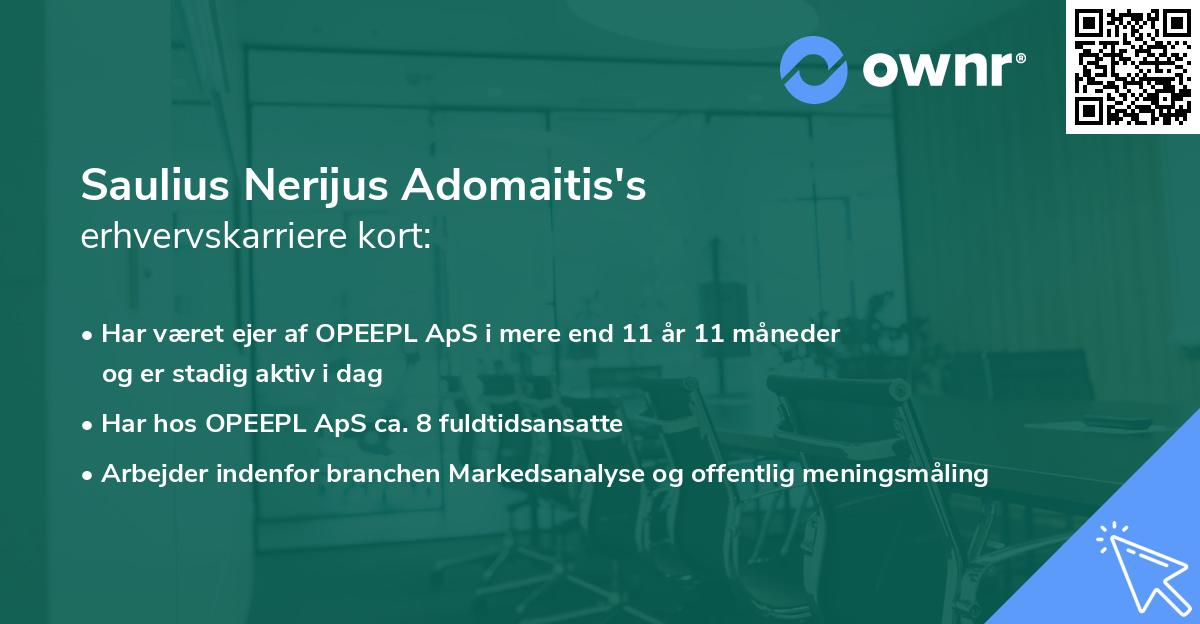 Saulius Nerijus Adomaitis's erhvervskarriere kort