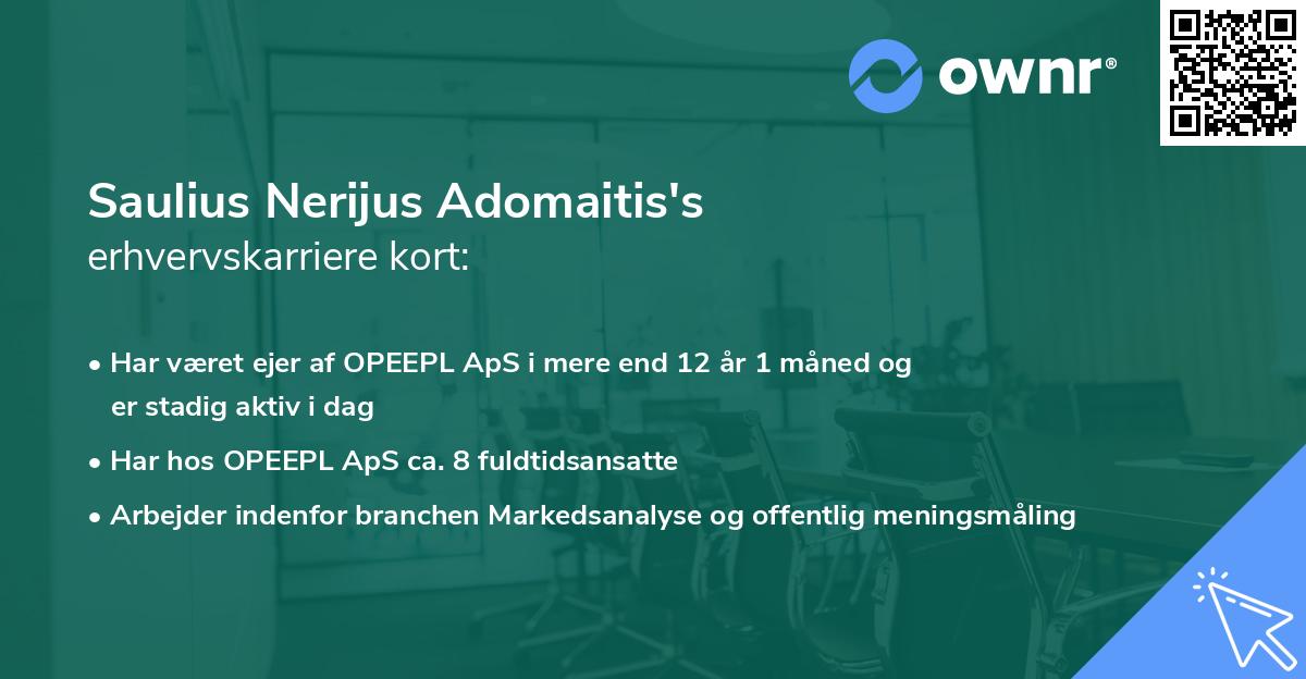 Saulius Nerijus Adomaitis's erhvervskarriere kort